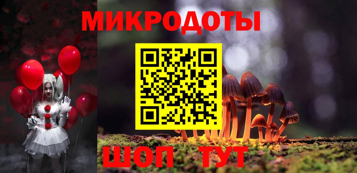 Камышлов  Псилоцибиновые грибы MAGIC MUSHROOMS  Вход с VPN  Галлюциногенные грибы Psilocybine cubensis 