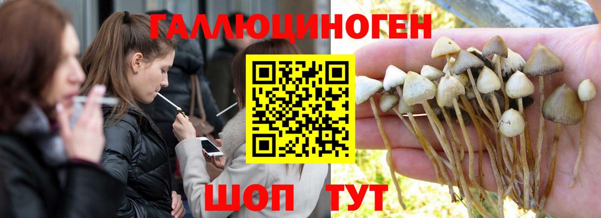 Галлюциногенные грибы GOLDEN TEACHER Камышлов